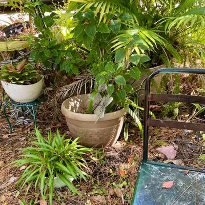 Sale Photo Thumbnail #149