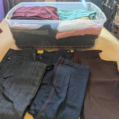EAT324- mystery Lot Of Womens Pants And Jeans 