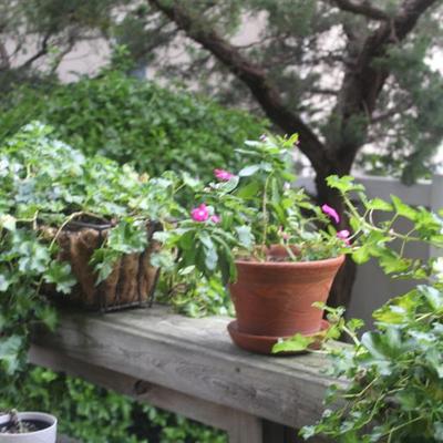 Sale Photo Thumbnail #104