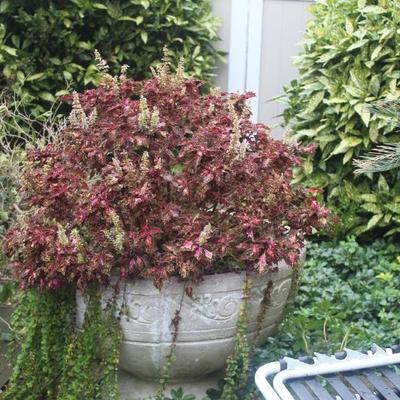 Sale Photo Thumbnail #97