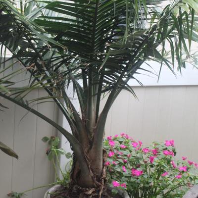 Sale Photo Thumbnail #89