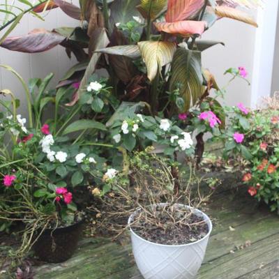 Sale Photo Thumbnail #95