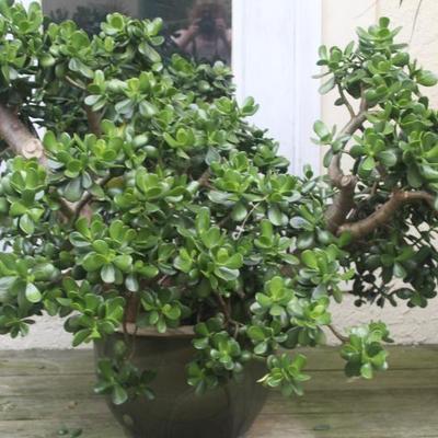 Sale Photo Thumbnail #98