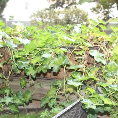 Sale Photo Thumbnail #103