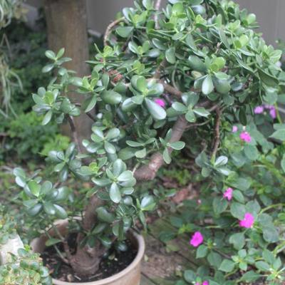 Sale Photo Thumbnail #87