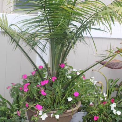 Sale Photo Thumbnail #93