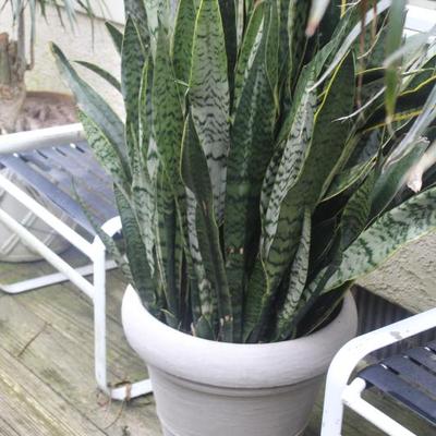 Sale Photo Thumbnail #90