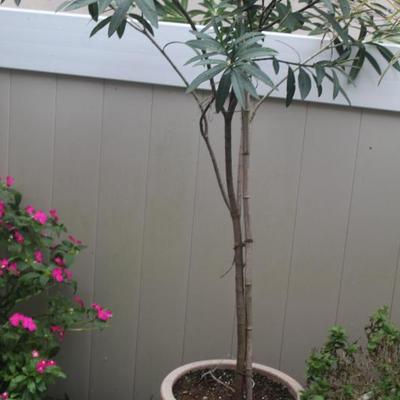 Sale Photo Thumbnail #92