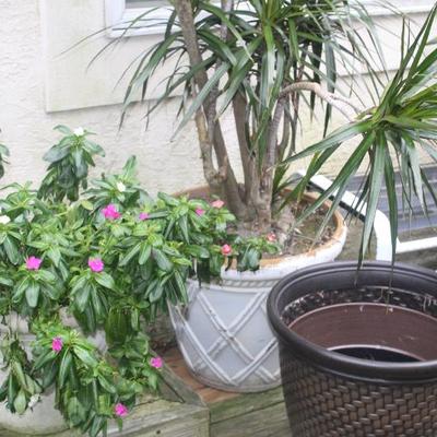 Sale Photo Thumbnail #99