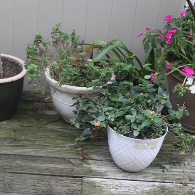 Sale Photo Thumbnail #94