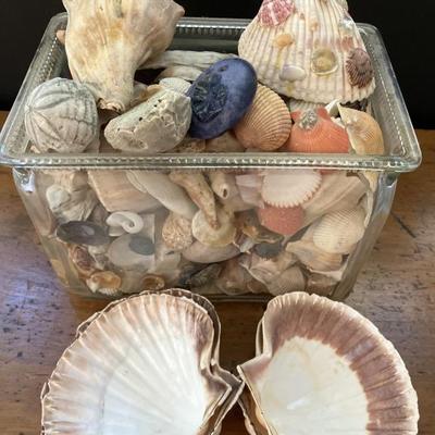 Sale Photo Thumbnail #336