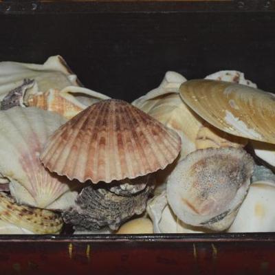 Sale Photo Thumbnail #60