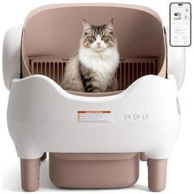 Sale Photo Thumbnail #4