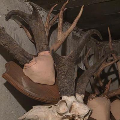 Sale Photo Thumbnail #17