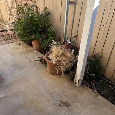 Sale Photo Thumbnail #207