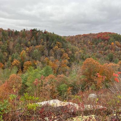 Red River Gorge Weekday Getaway