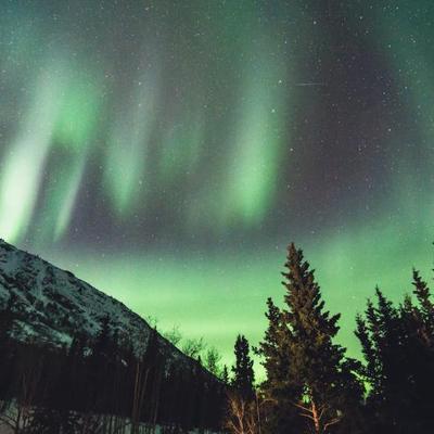 Yukon - Northern Lights