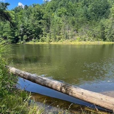 Red River Gorge Weekday Getaway