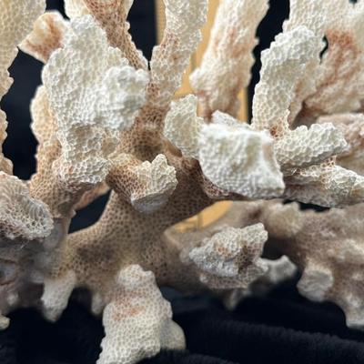 Sale Photo Thumbnail #45