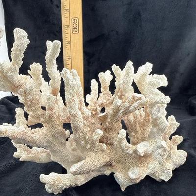 Sale Photo Thumbnail #47