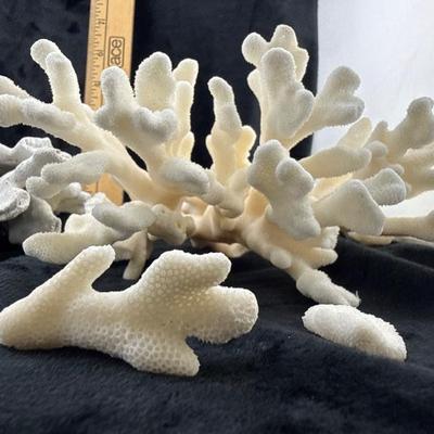 Sale Photo Thumbnail #53