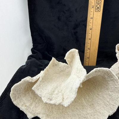 Sale Photo Thumbnail #40