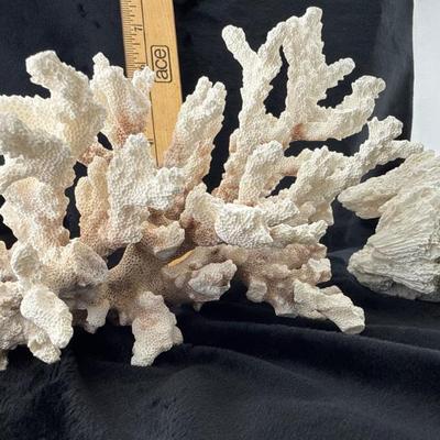 Sale Photo Thumbnail #44