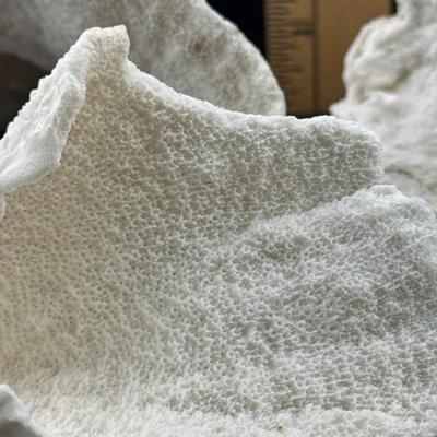 Sale Photo Thumbnail #37