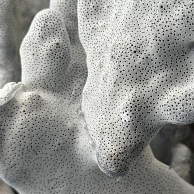 Sale Photo Thumbnail #61