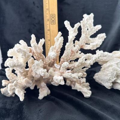 Sale Photo Thumbnail #41