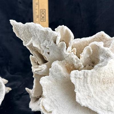 Sale Photo Thumbnail #39