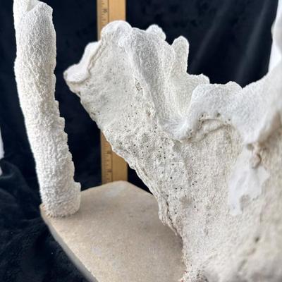 Sale Photo Thumbnail #65