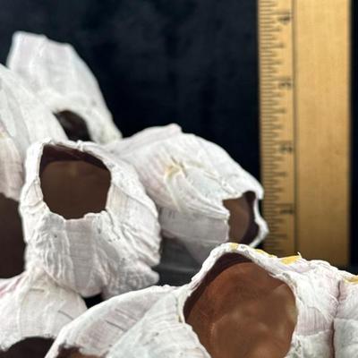 Sale Photo Thumbnail #32