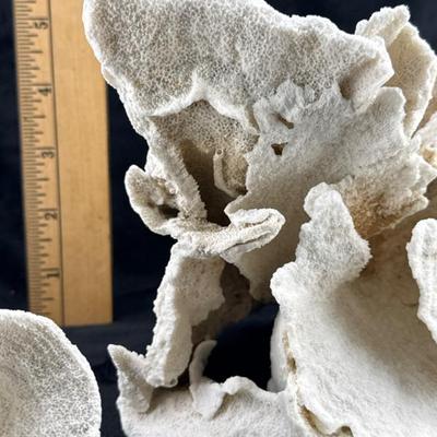 Sale Photo Thumbnail #38