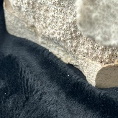 Sale Photo Thumbnail #68