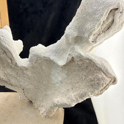 Sale Photo Thumbnail #64