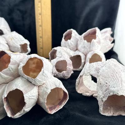 Sale Photo Thumbnail #33