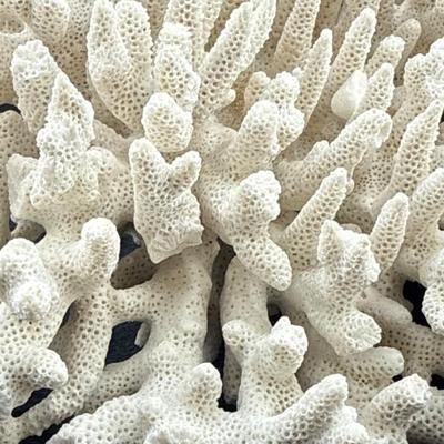 Sale Photo Thumbnail #22