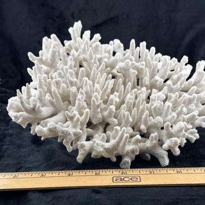 Sale Photo Thumbnail #23