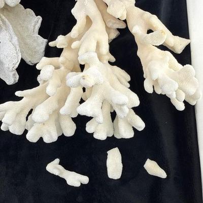 Sale Photo Thumbnail #51