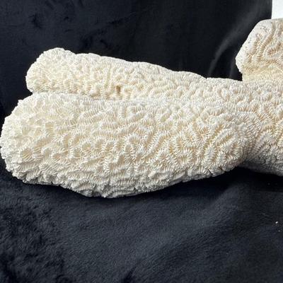 Sale Photo Thumbnail #28