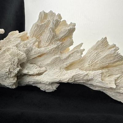 Sale Photo Thumbnail #43