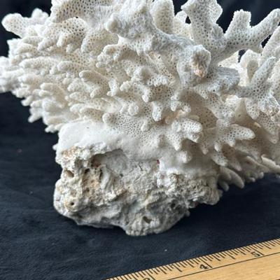 Sale Photo Thumbnail #24