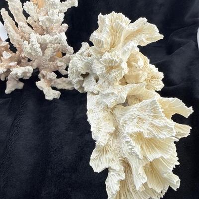 Sale Photo Thumbnail #42