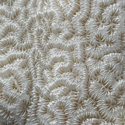 Sale Photo Thumbnail #26