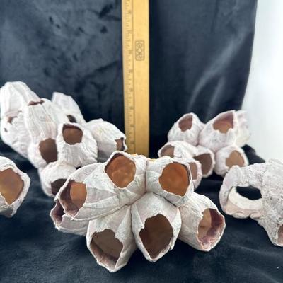 Sale Photo Thumbnail #31