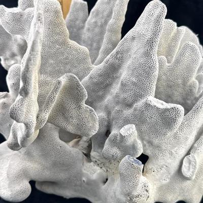 Sale Photo Thumbnail #60