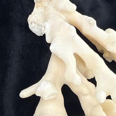 Sale Photo Thumbnail #52