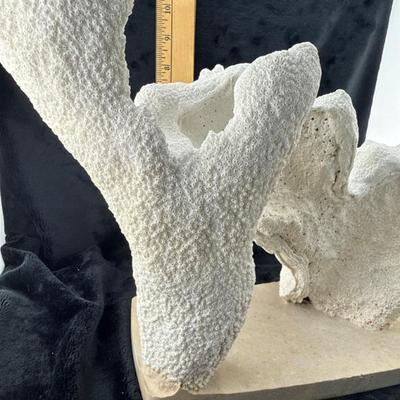 Sale Photo Thumbnail #63