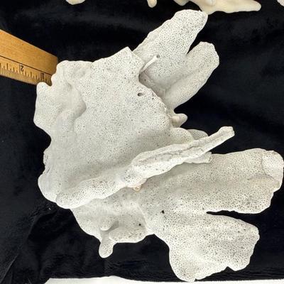 Sale Photo Thumbnail #50